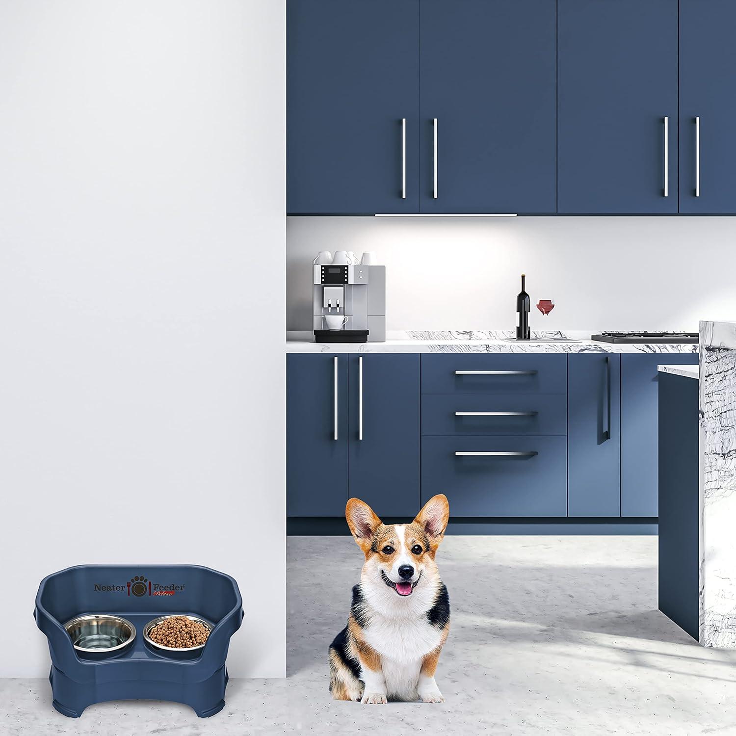 Medium Dark Blue Elevated Stainless Steel Dog Feeder