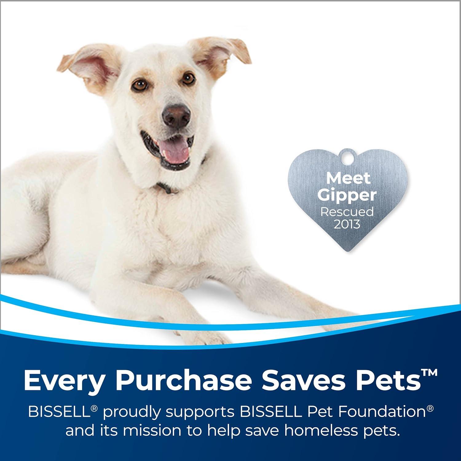 BISSELL Professional Deep Clean + Oxy 48oz. Upright Carpet Cleaner Formula - 3156: Fresh Scent, Stain Eliminator Solution