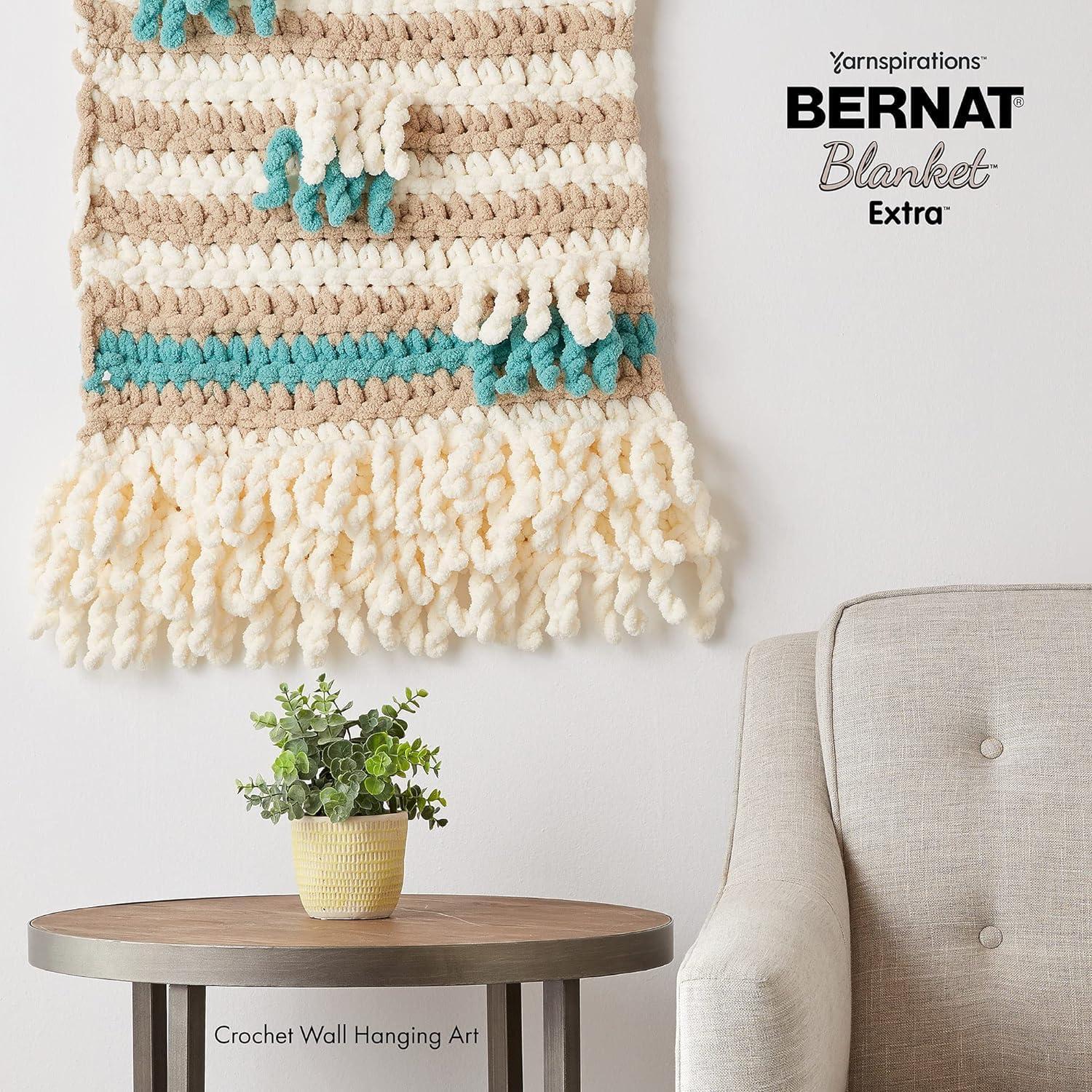 Bernat Blanket Extra Yarn
