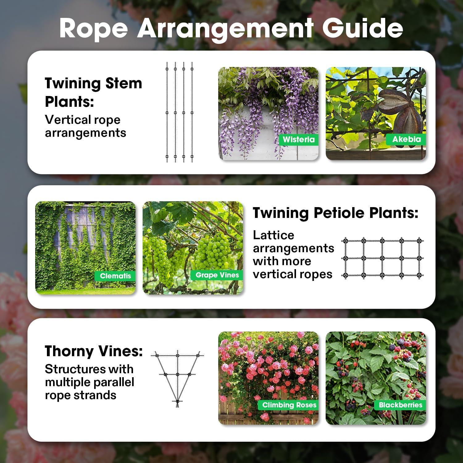 VIVOSUN Wire Trellis Kit with 20 Set Holders and 98.4ft Wire Rope, 316 Stainless Steel Espalier Cable Trellis Kit for Climbing Plants, Vines and Green Wall