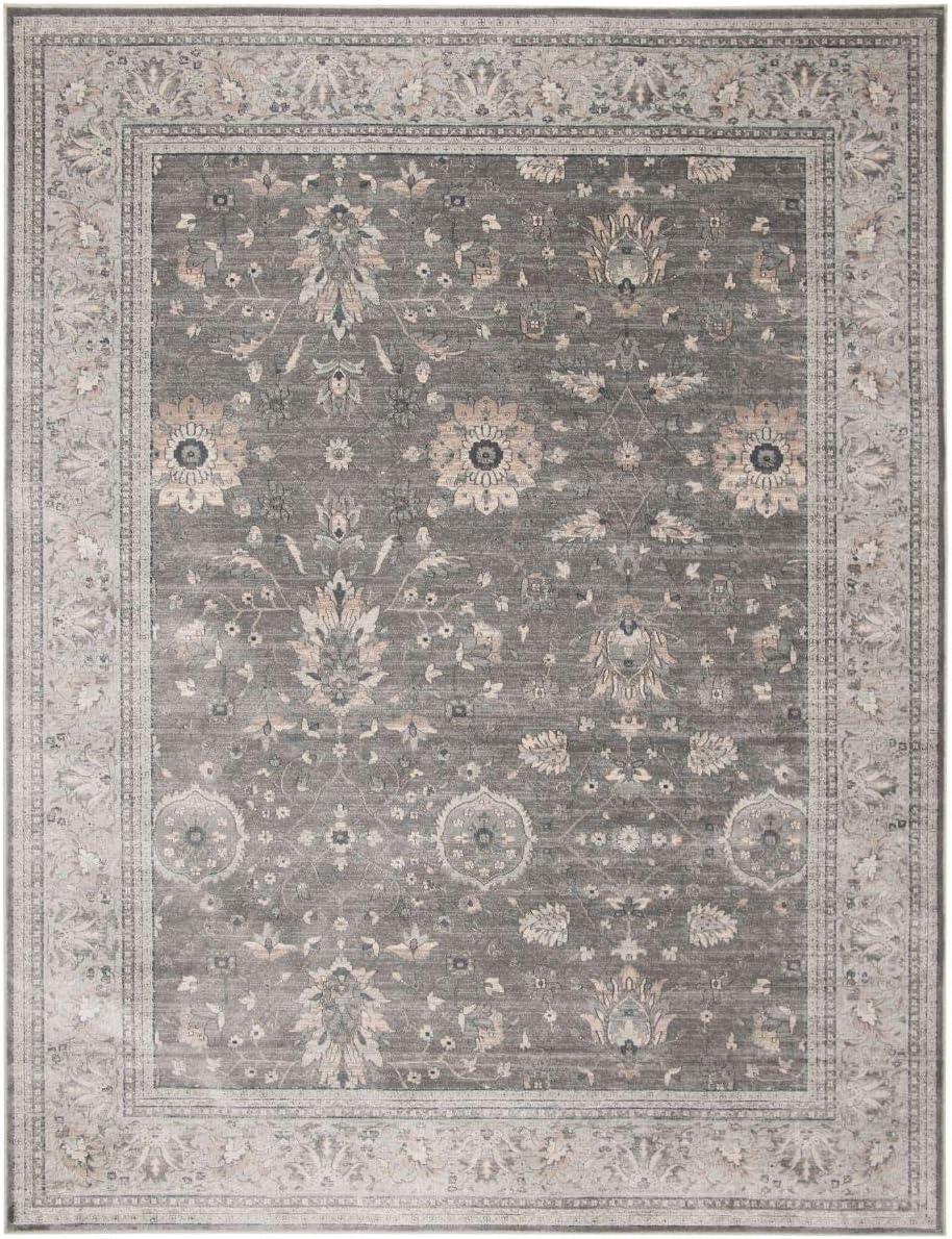 SAFAVIEH Vintage Hiren Oriental Area Rug, Grey/Beige, 8' x 10'