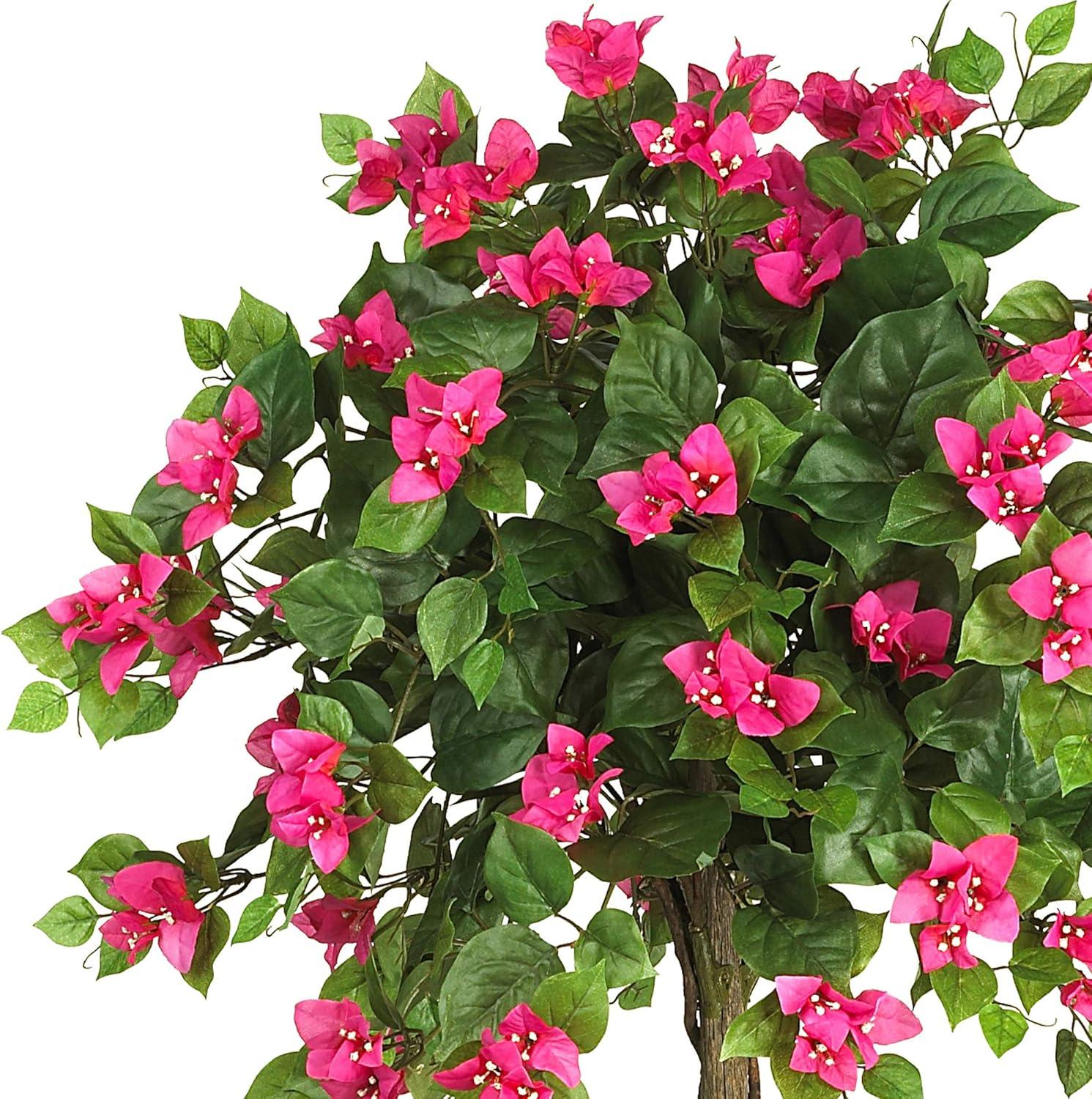 Primrue 5ft. Mini Bougainvillea Topiary