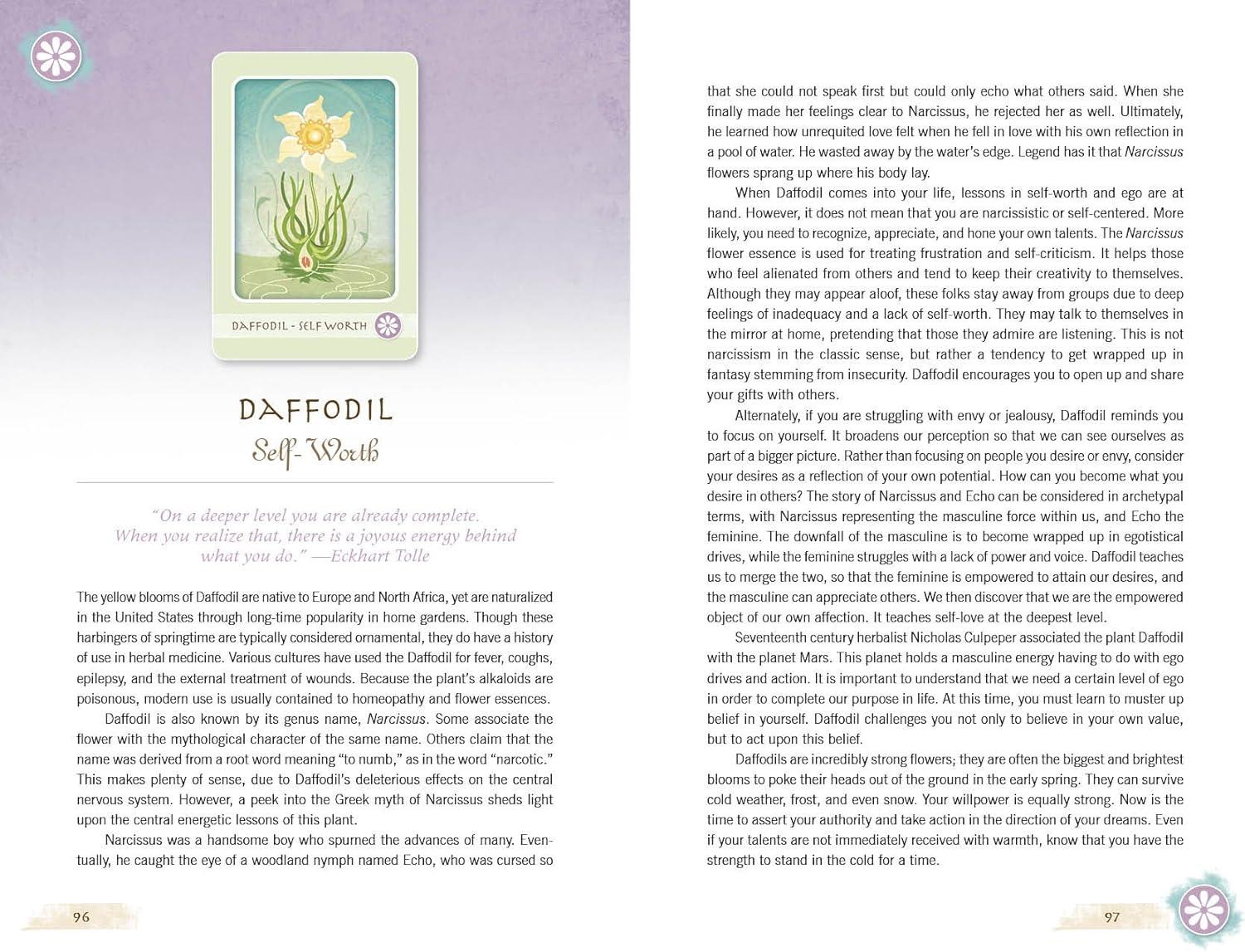 The Herbal Healing Deck (Deck and Guidebook Box Set), (Paperback)