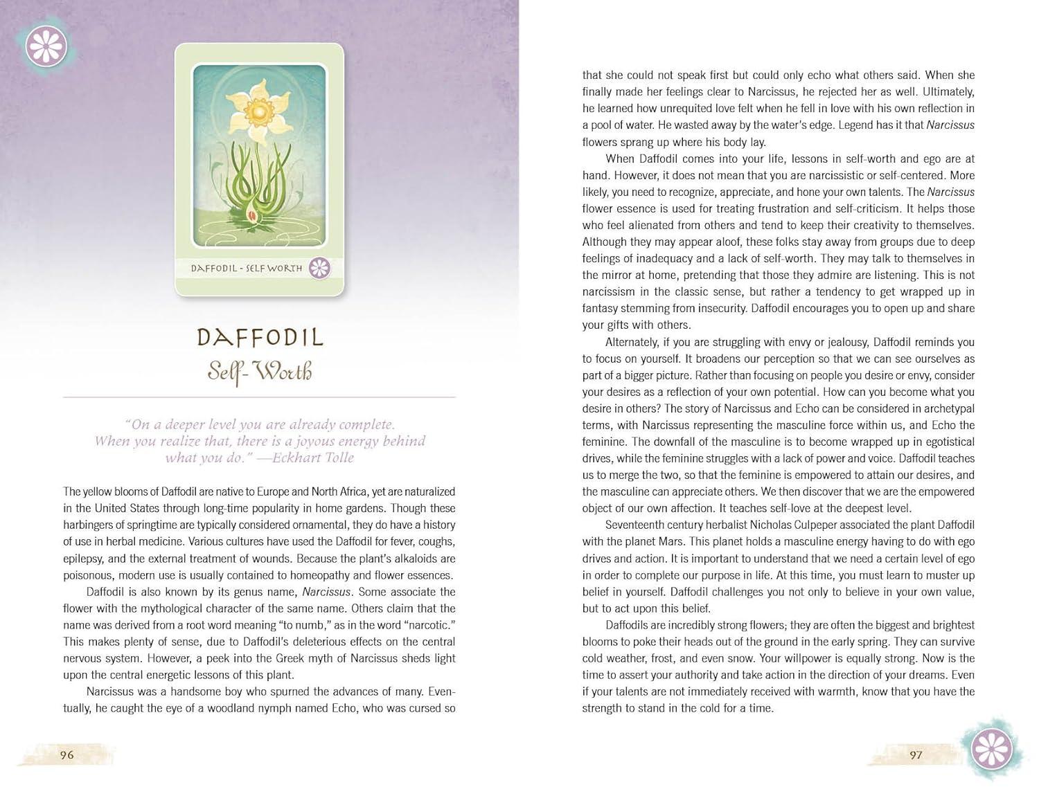 The Herbal Healing Deck (Deck and Guidebook Box Set), (Paperback)