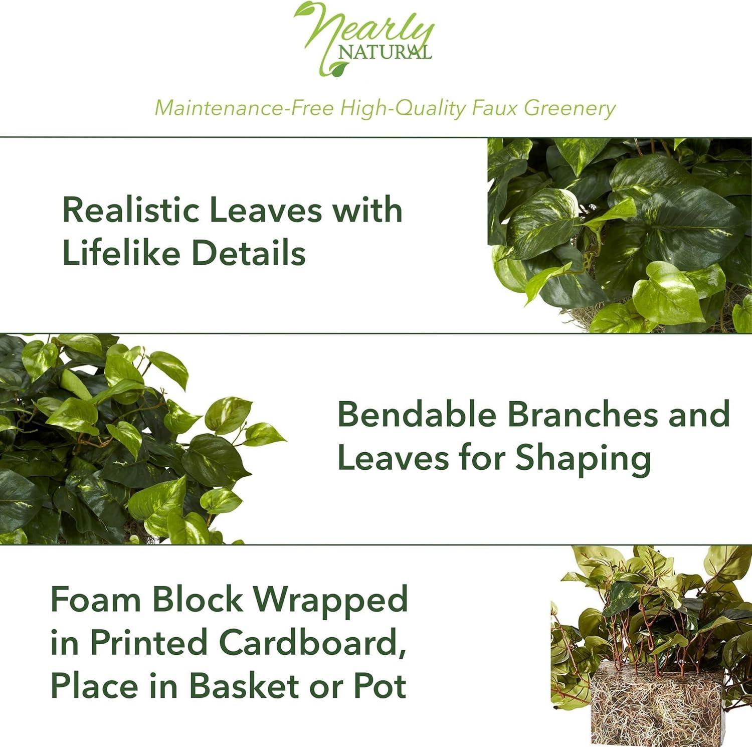 Primrue Pothos Ledge Plant (Set on Foam) Silk Plant