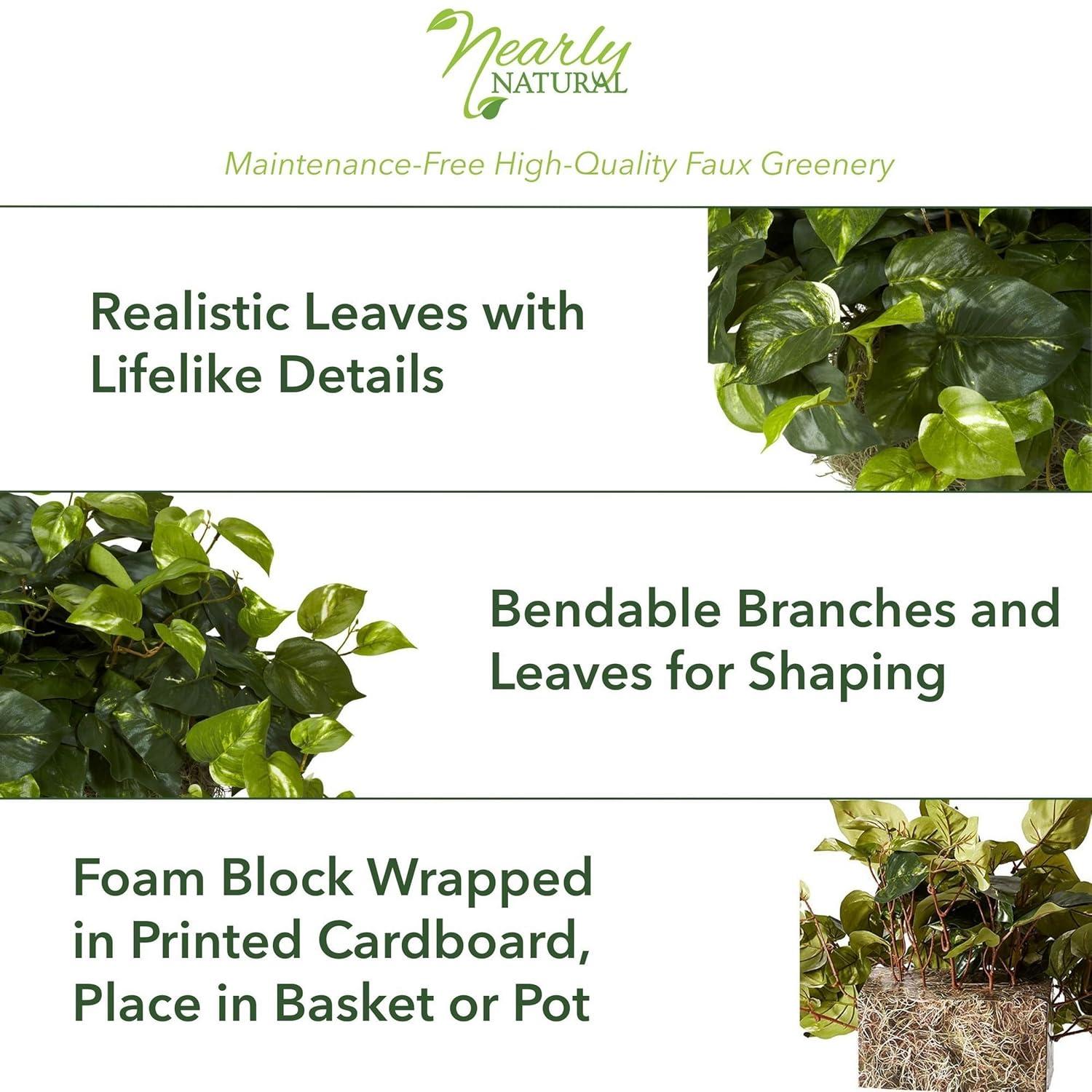 Primrue Pothos Ledge Plant (Set on Foam) Silk Plant