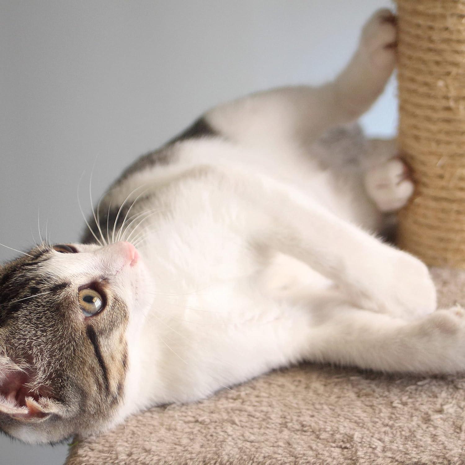 PetMaker 6 Foot Cat Tree with Scratch Posts in Ivory