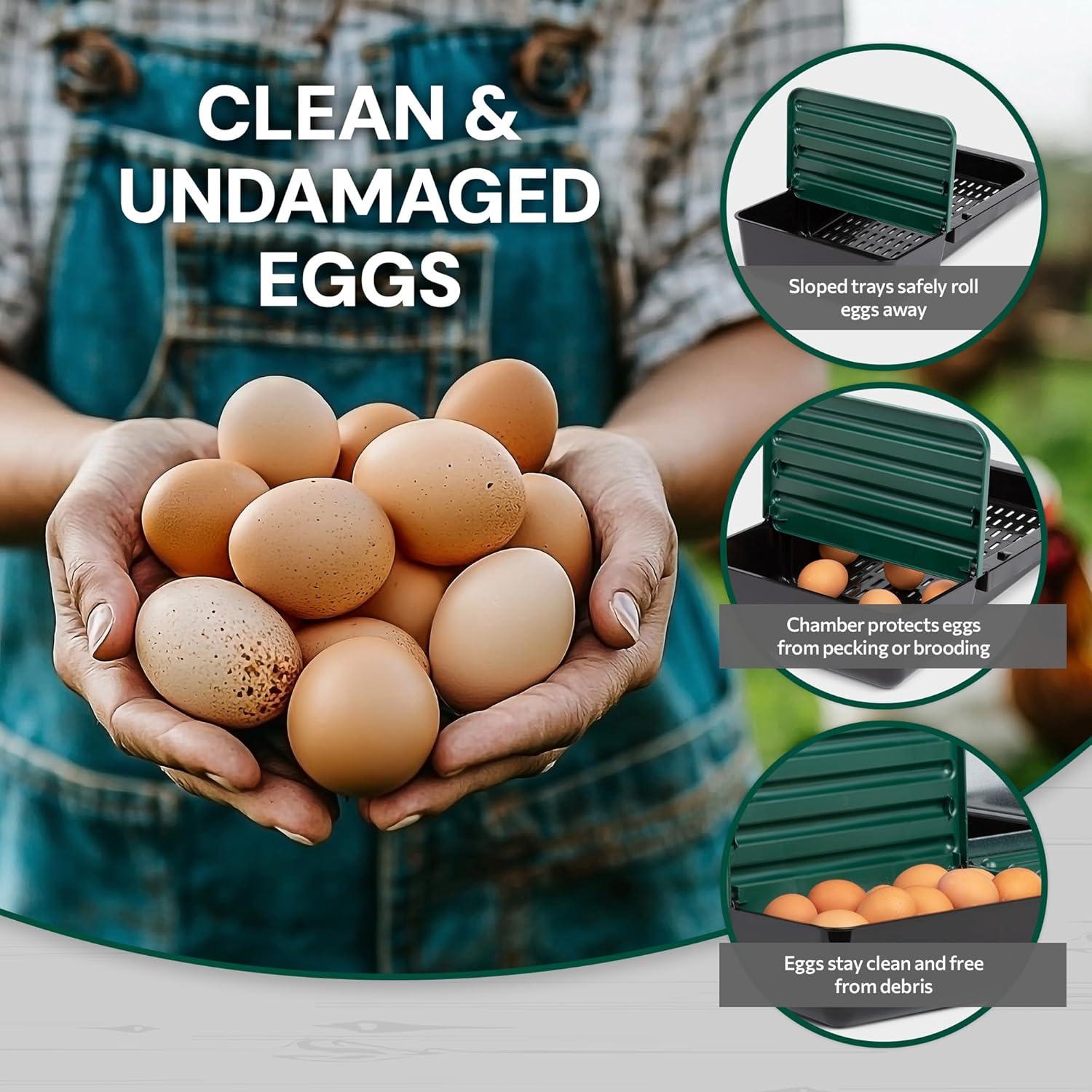 Compact Style 3 Compartment, Forward Rollout & Rollaway, Hen & Chicken Nesting Box with Protective Egg Laying Collection Lids