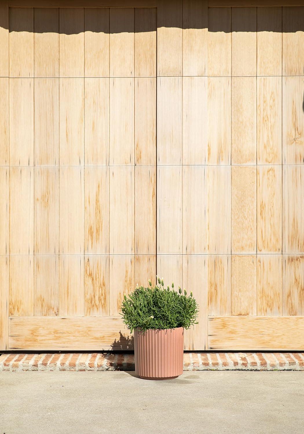 Veradek Demi Series Round Planter & Reviews | AllModern