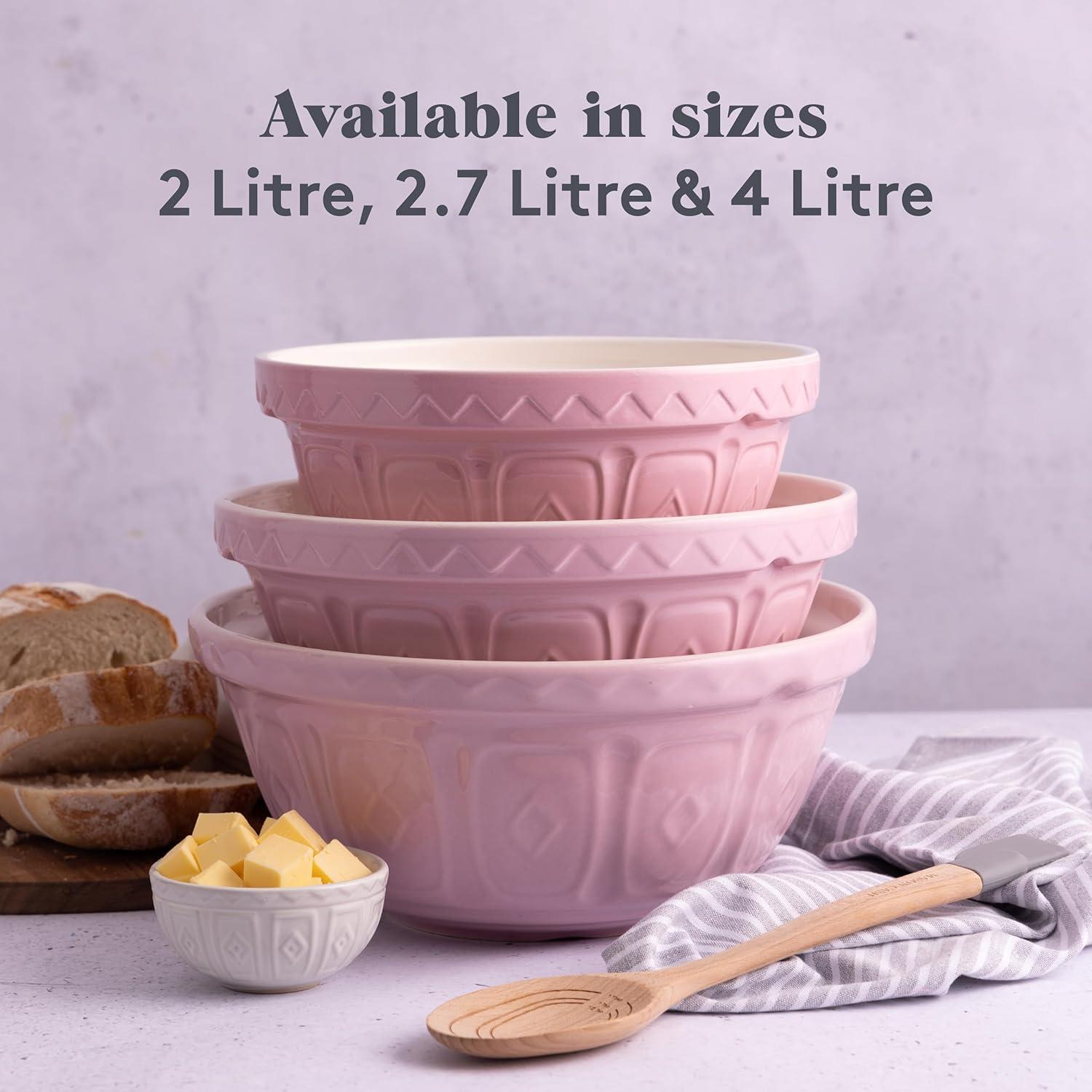 Mason Cash Color Mix Earthenware Mixing Bowl