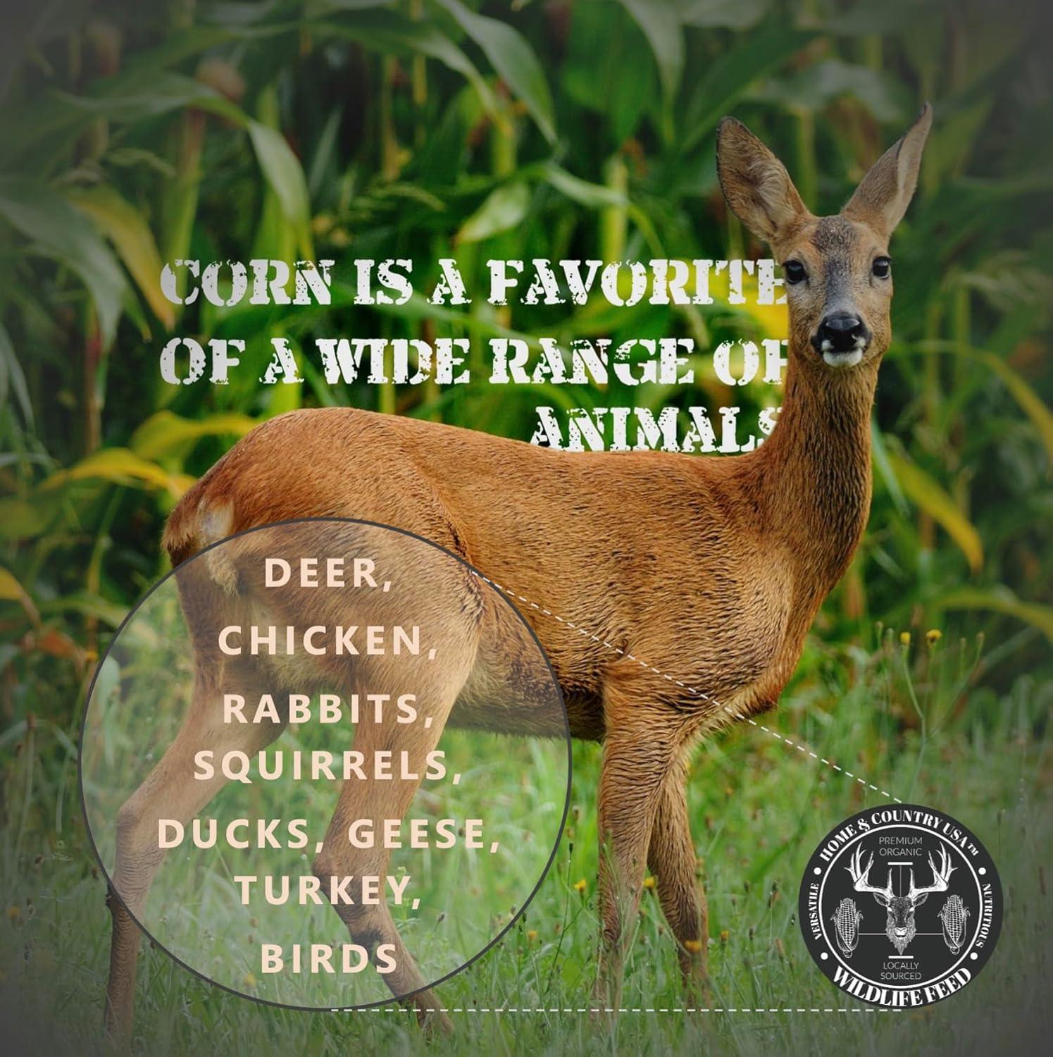 Whole Corn Kernels 10 lb Bag for Wildlife Feed