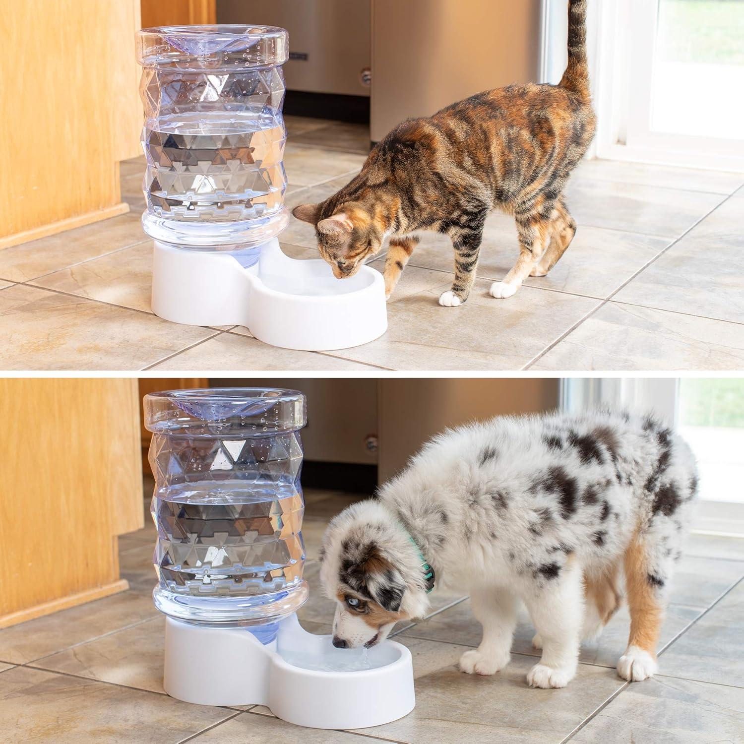 White Automatic Gravity Pet Water Dispenser