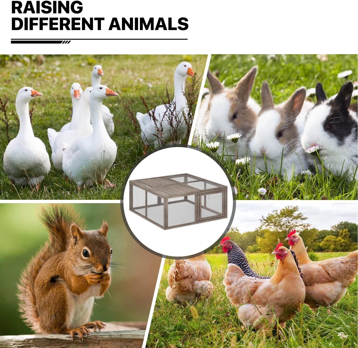 MoNiBloom Chicken Coop Rabbit Hutch, 45.5" Wooden Chicken Run Hen House Duck Coop, Outdoor Small Animal Poultry Cage with Openable Roof and Side Door (Grey)