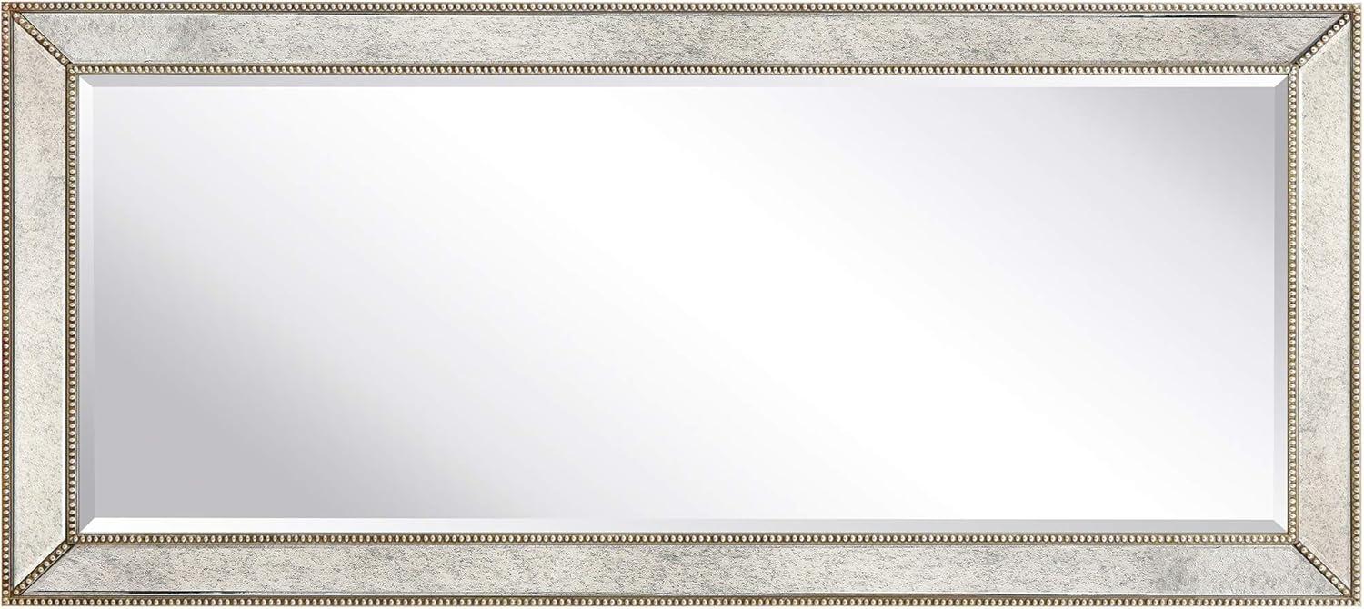 Empire Art Direct Champagne Bead Beveled Mirror, 24" x 54", Ready to Hang