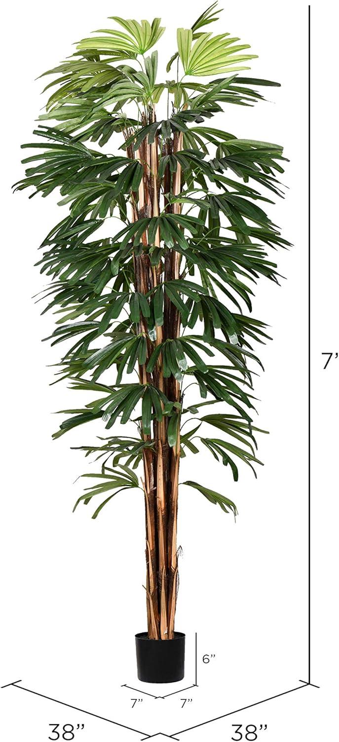 Vickerman Rhaphis Arrangement in Planter