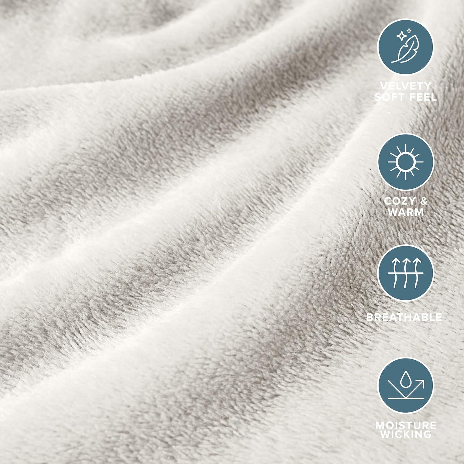 Bare Home Microplush Sheet Set