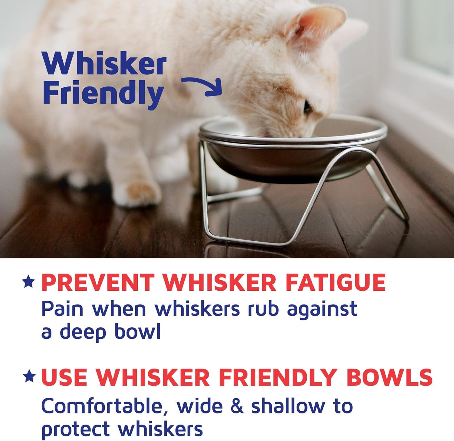 Raised Cat Bowl Stand for Food & Water by Americat – Made in USA – Stainless Steel, Spill-Proof Elevated Feeder, Dishwasher Safe, Human Grade, Whisker Friendly