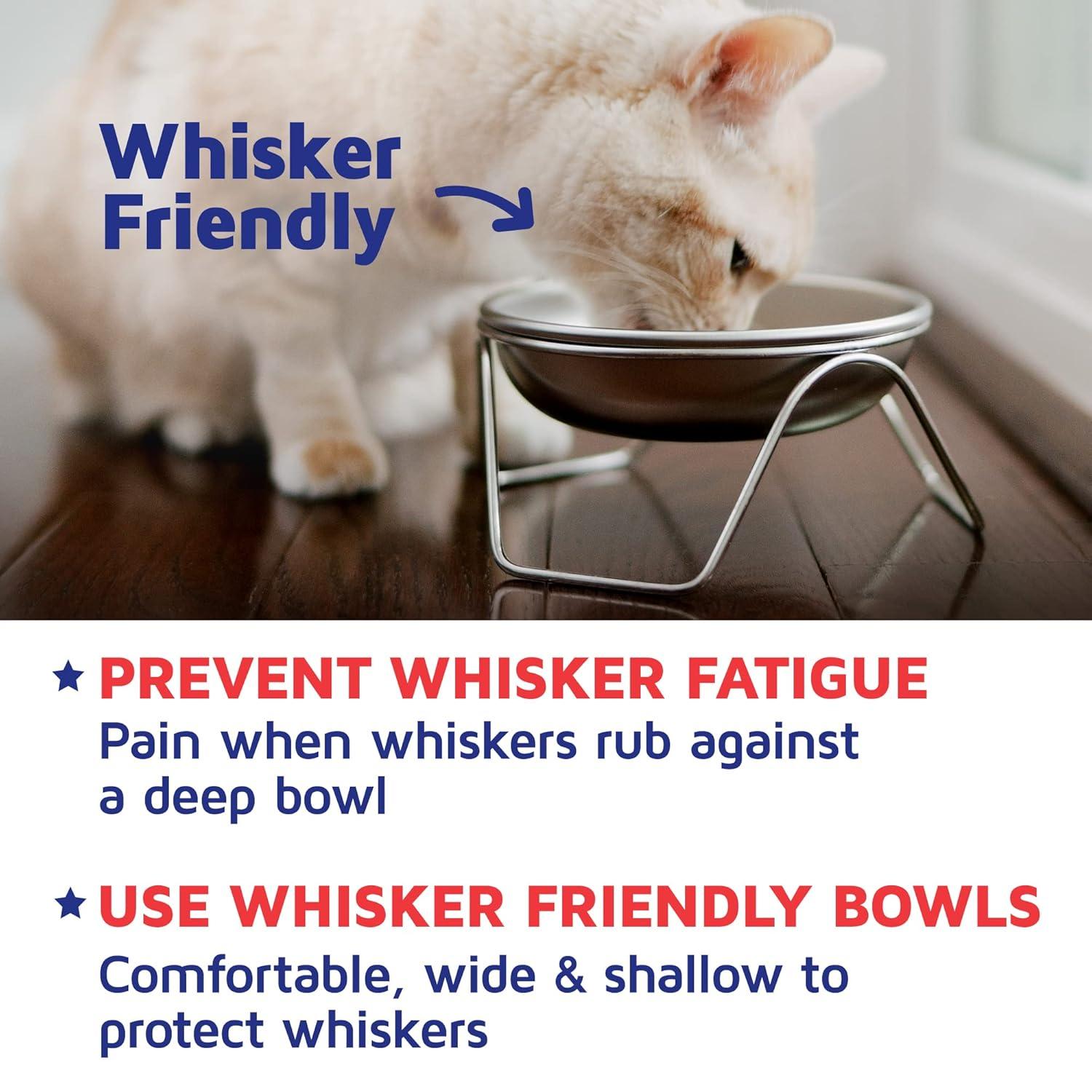 Raised Cat Bowl Stand for Food & Water by Americat – Made in USA – Stainless Steel, Spill-Proof Elevated Feeder, Dishwasher Safe, Human Grade, Whisker Friendly