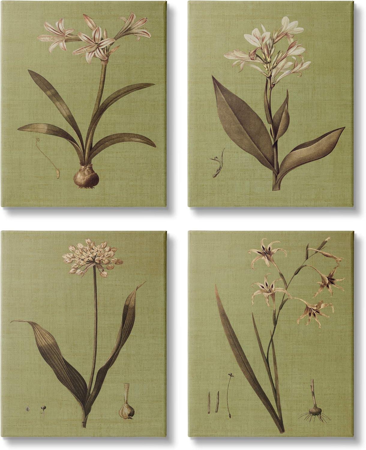 Vintage Botanical Green Canvas Wall Art Set, 16 x 20 Inches