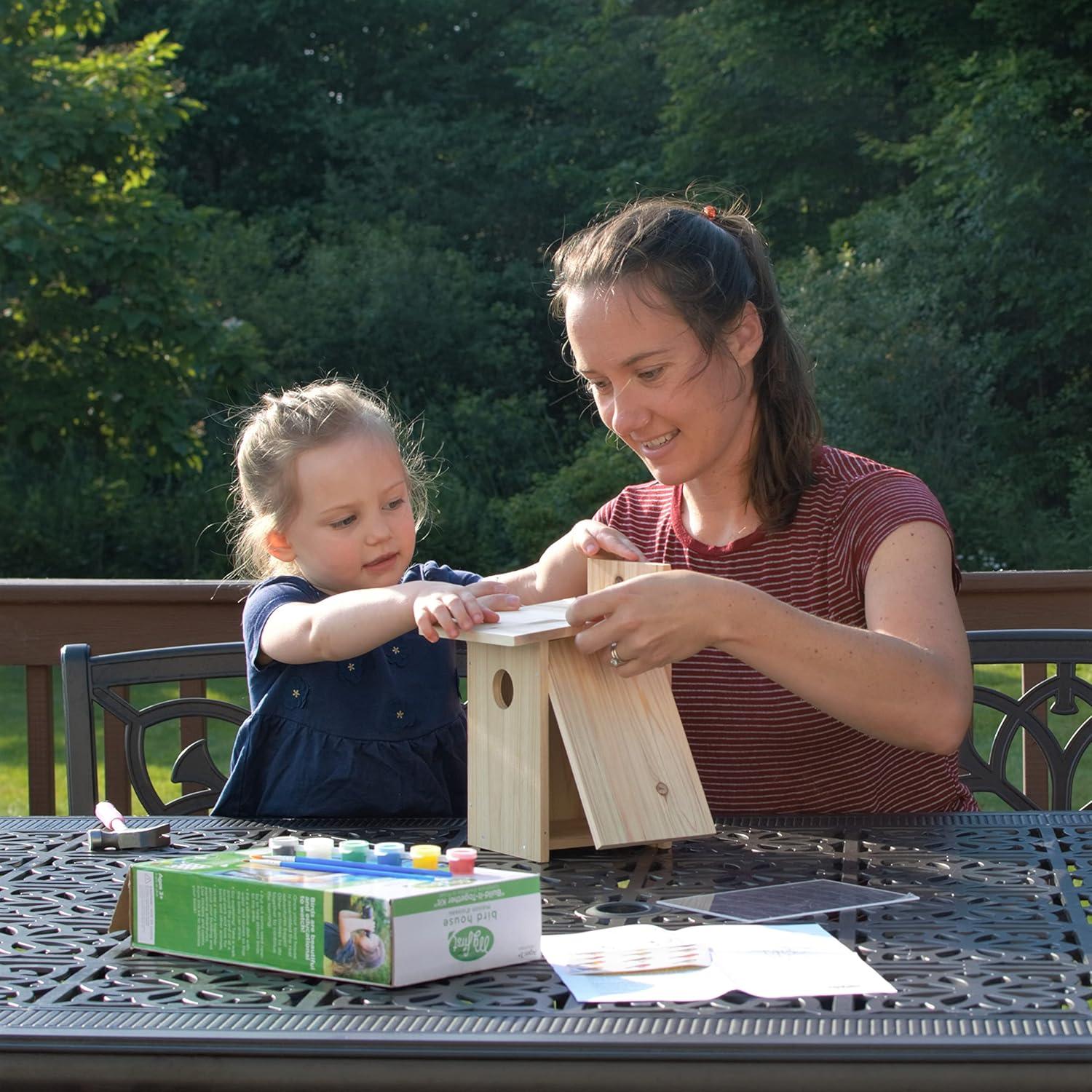 Nature's Way My First DIY Bird House To Paint, Assemble, and Decorate Wood Craft, 10"