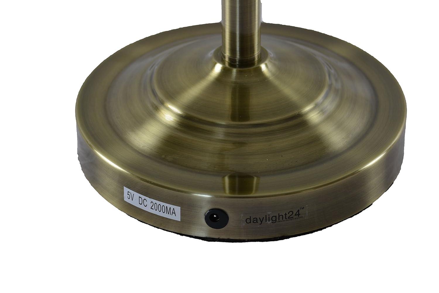 Daylight24 56” 1-Light Antique Brass Cordless Floor Lamp with Adjustable Gooseneck