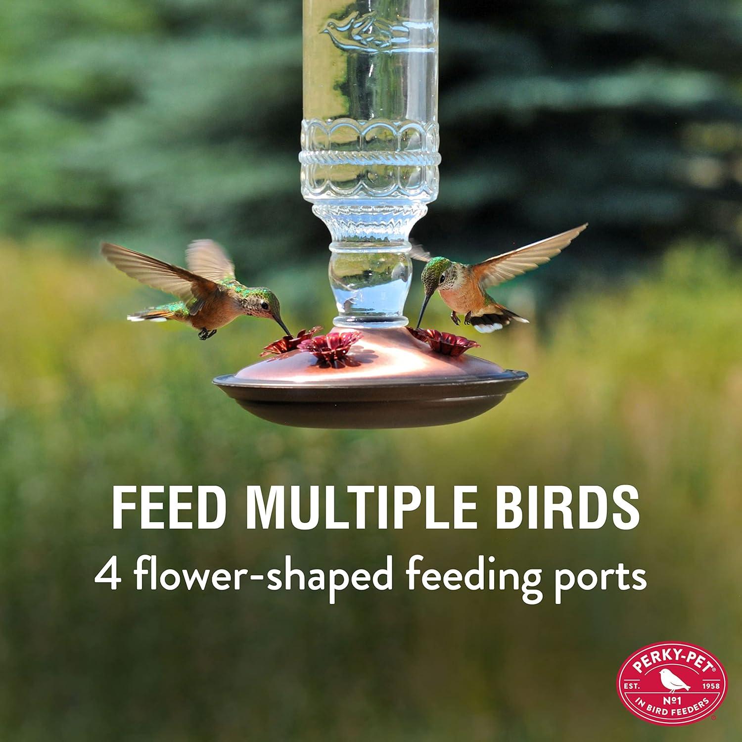 Antique Glass and Metal Hummingbird Feeder with 10-Ounce Capacity