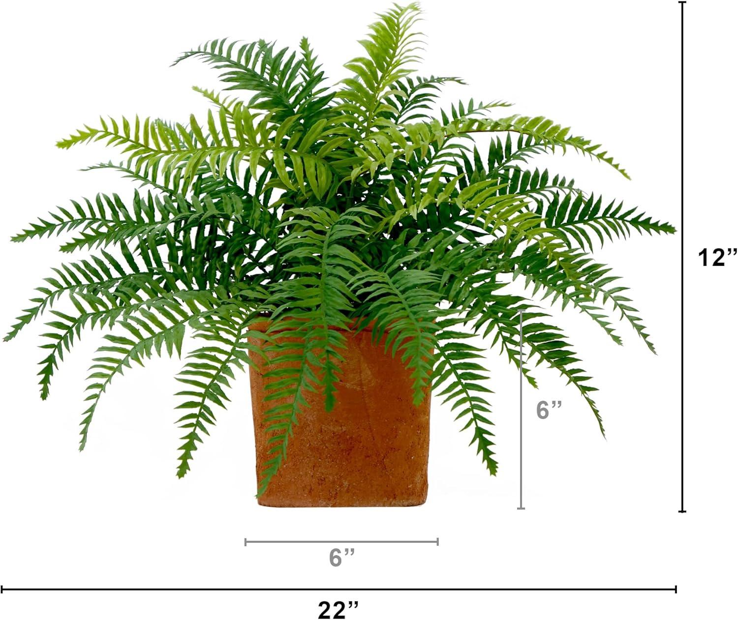 Yancey 12'' Faux Fern Plant in Terracotta Planter