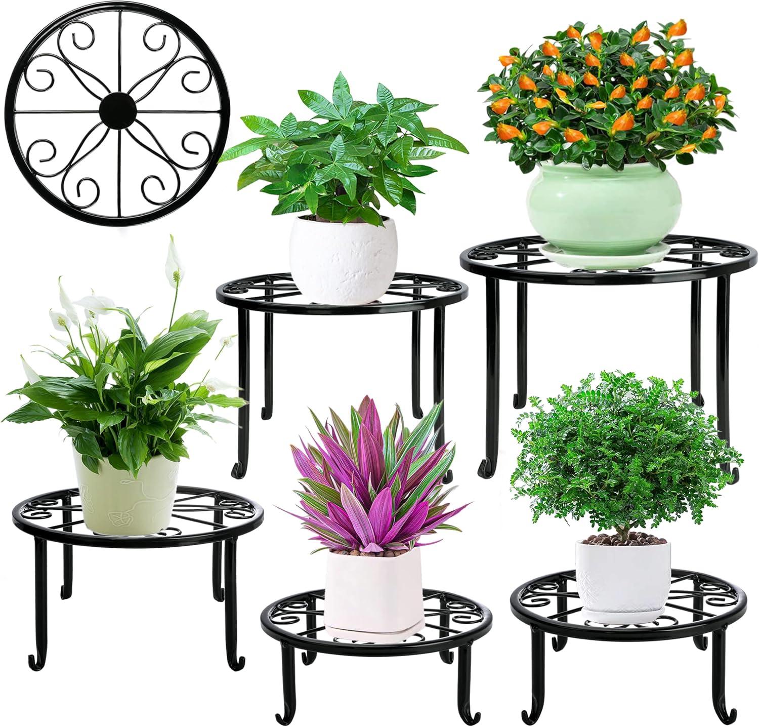 Set of 5 Black Iron Round Plant Stands