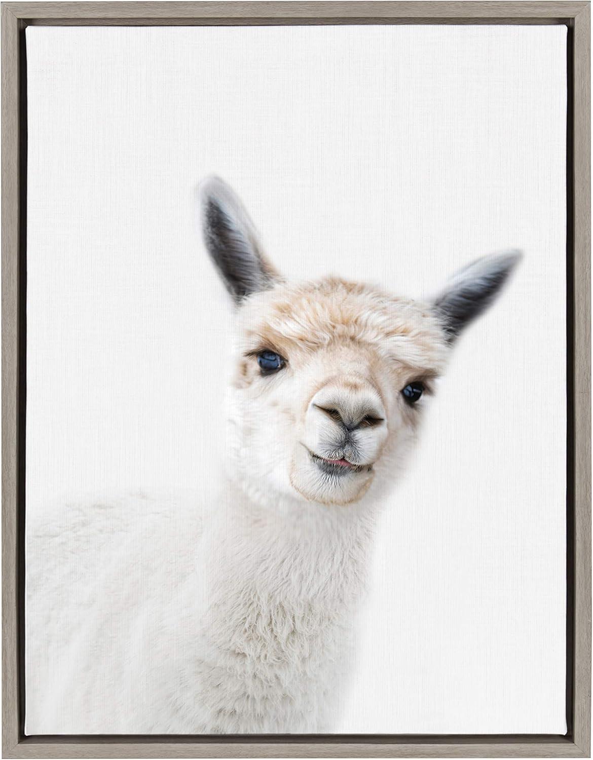 18" x 24" Sylvie Animal Studio Alpaca Framed Canvas by Amy Peterson - Kate & Laurel All Things Decor