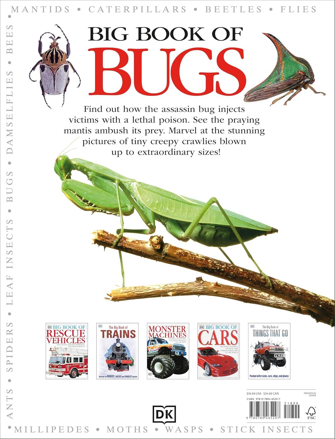 Big Book of Bugs - (DK Big Books) by  DK (Hardcover)