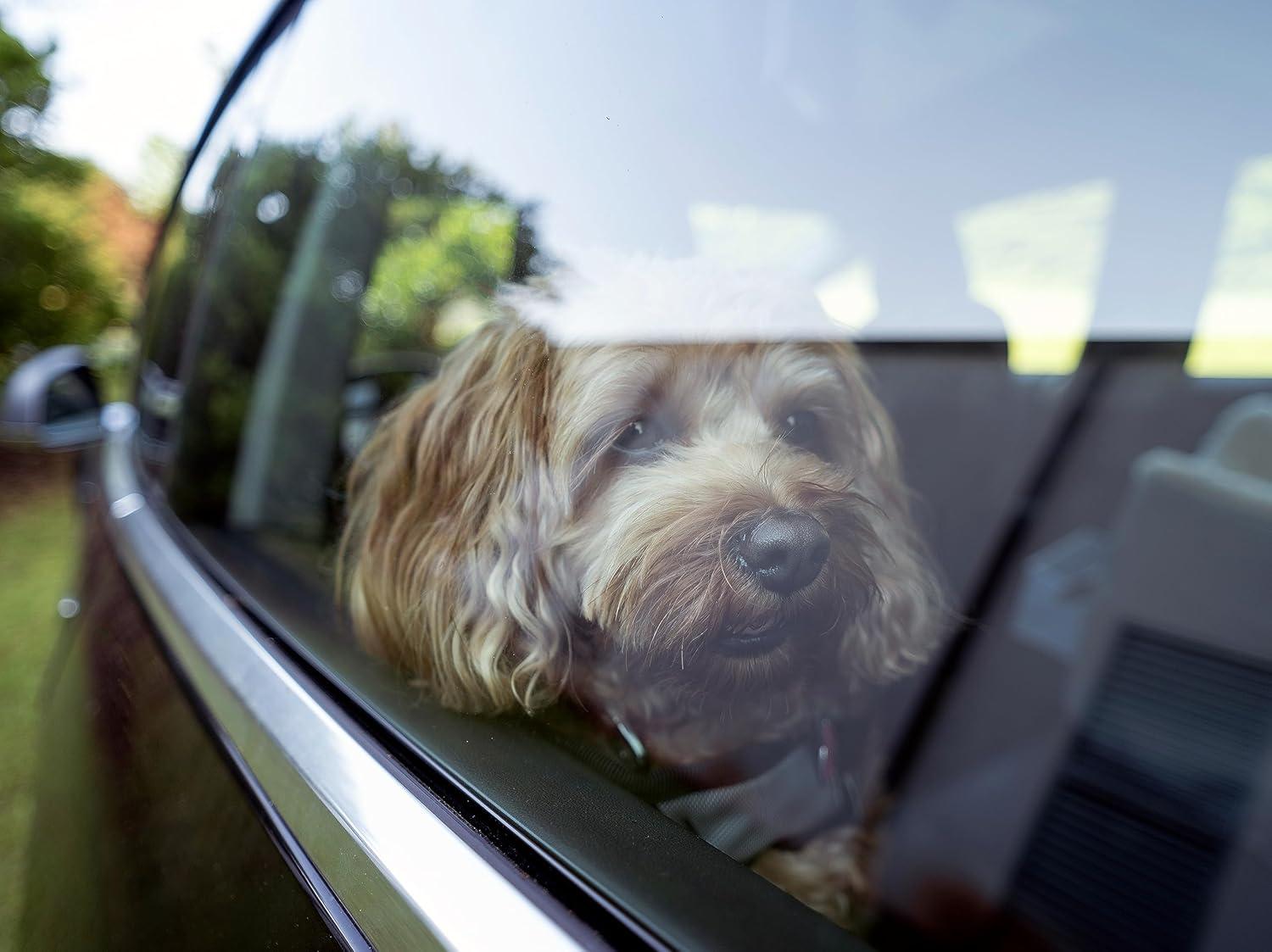 Snoozer Microsuede Lookout 1 Dog Car Seat