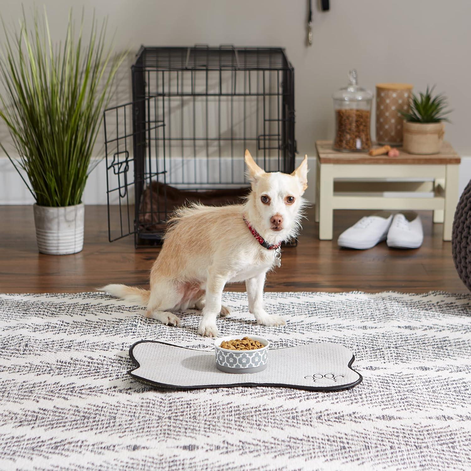 Design Imports Anti-Skid Pet Bowl