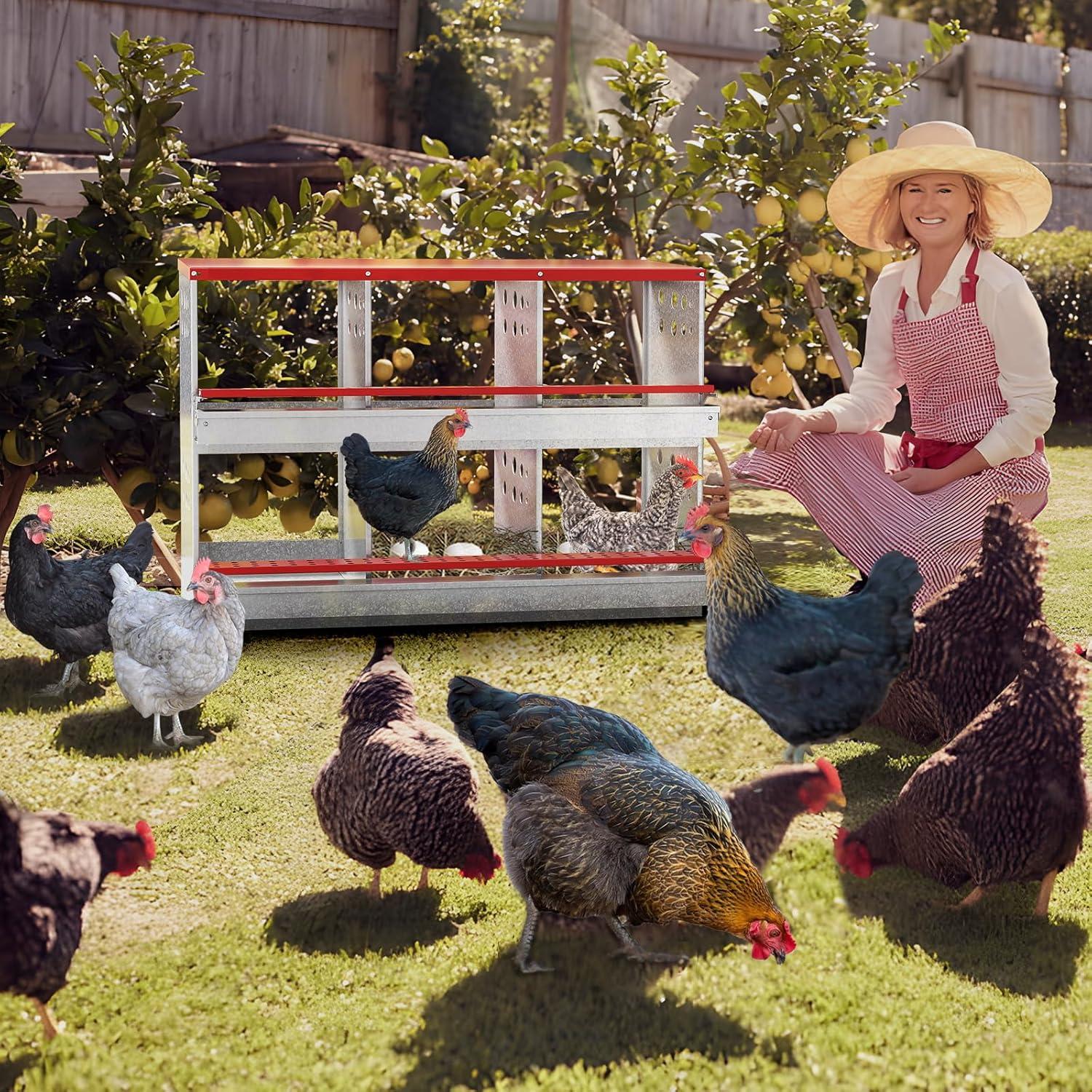 Red and Silver Galvanized Steel 6-Compartment Chicken Nesting Box