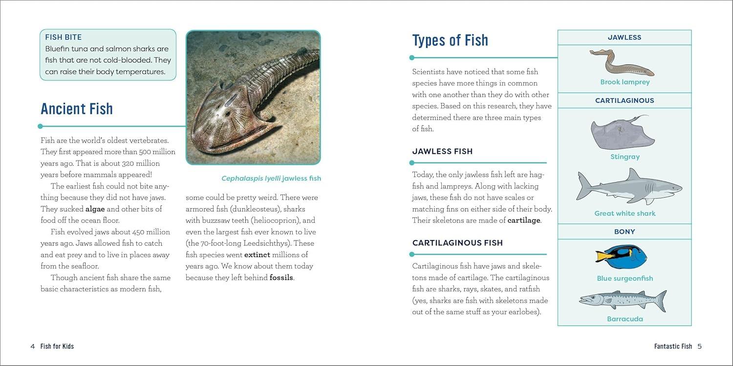 Fish for Kids - (Junior Scientists) by  Kevin Kurtz (Paperback)