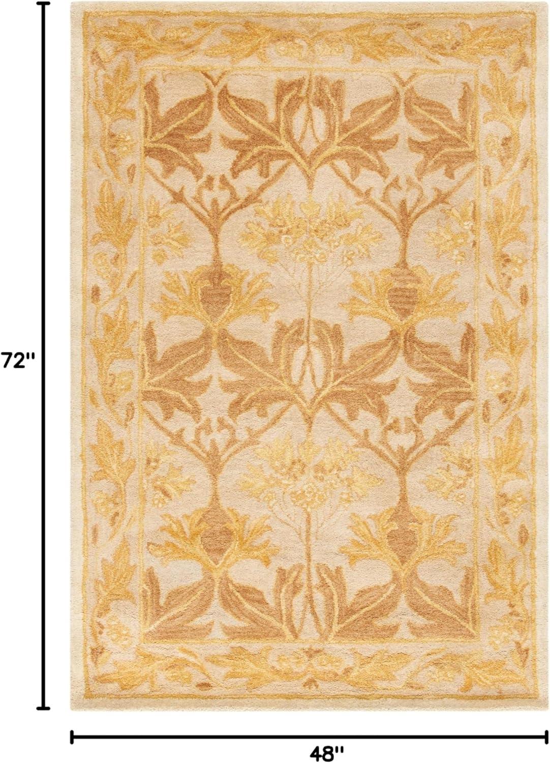 Anatolia AN541 Hand Tufted Area Rug  - Safavieh