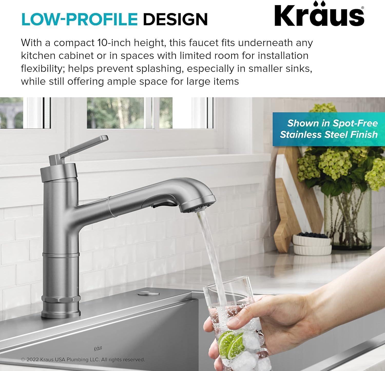 Allyn Pull-Out Single Handle Kitchen Faucet