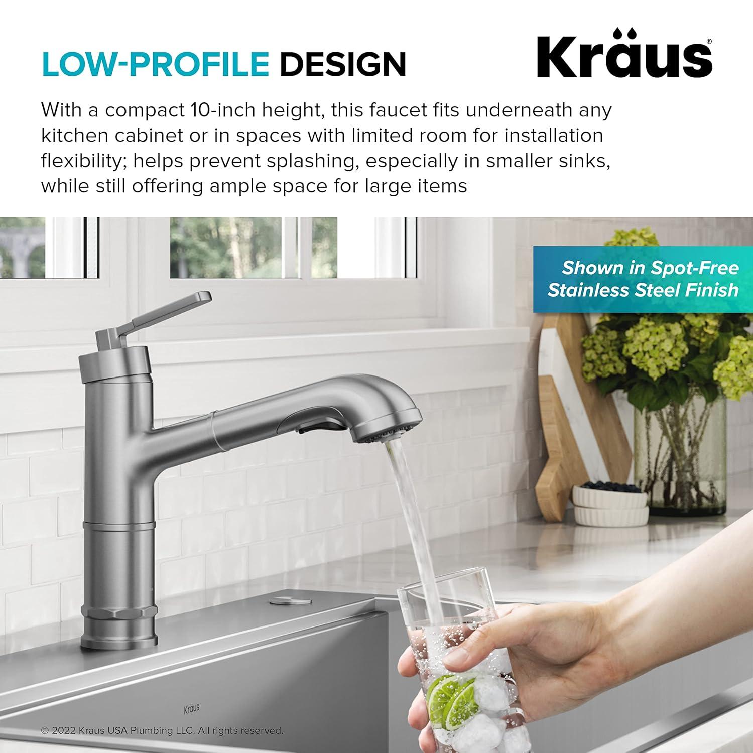 Allyn Pull-Out Single Handle Kitchen Faucet