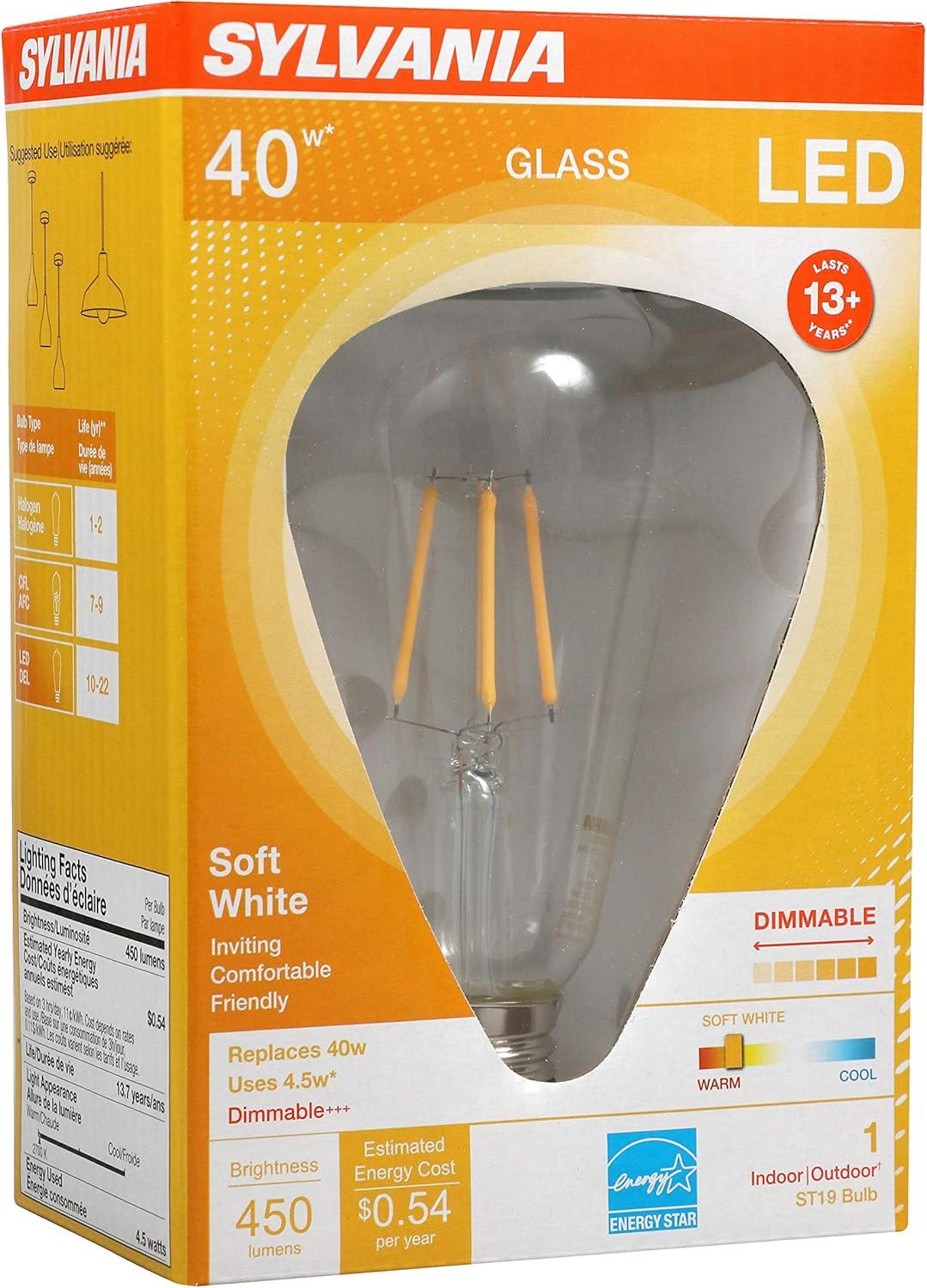 Clear Dimmable ST19 LED Bulb with Soft White Light