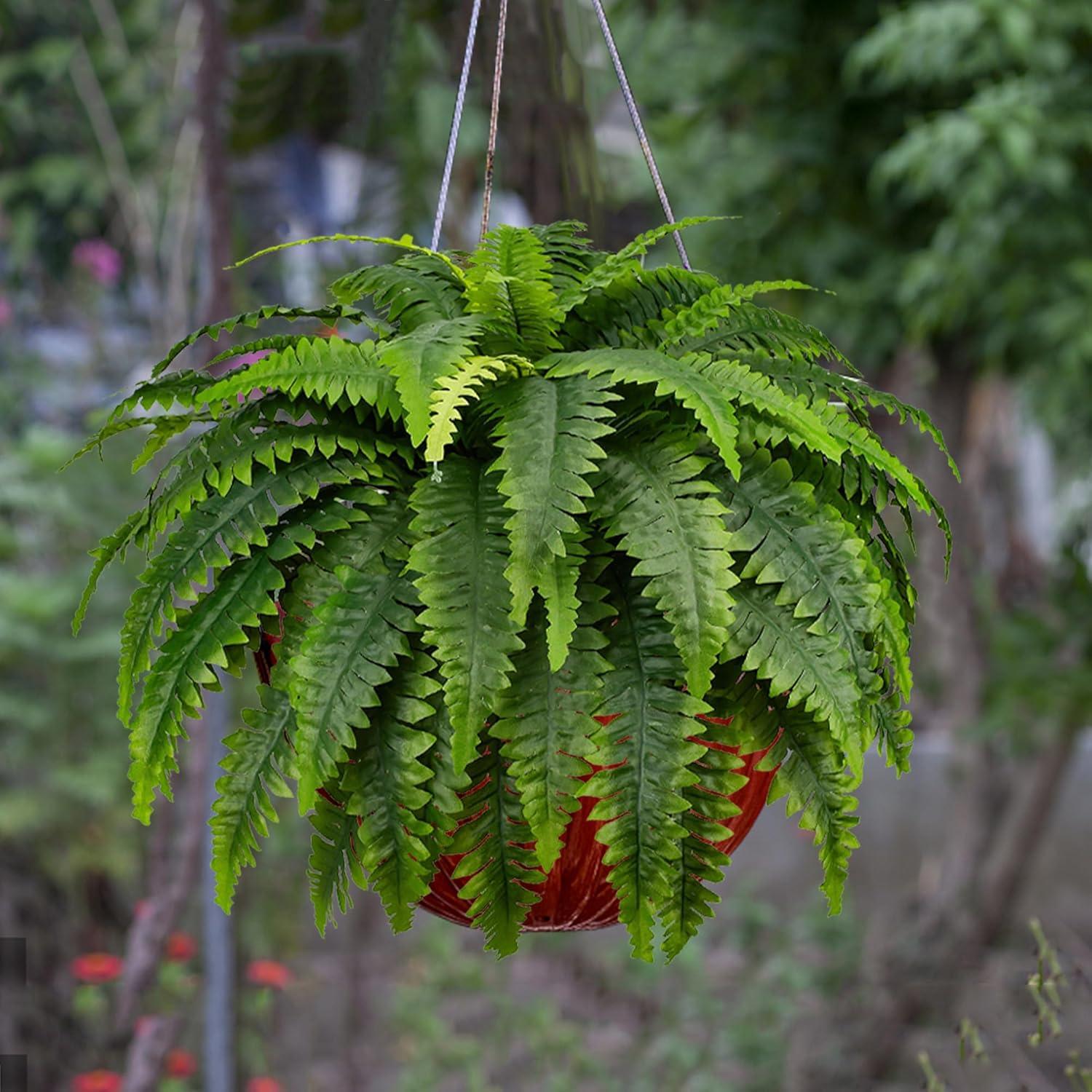 Boston 10'' Faux Fern Plant