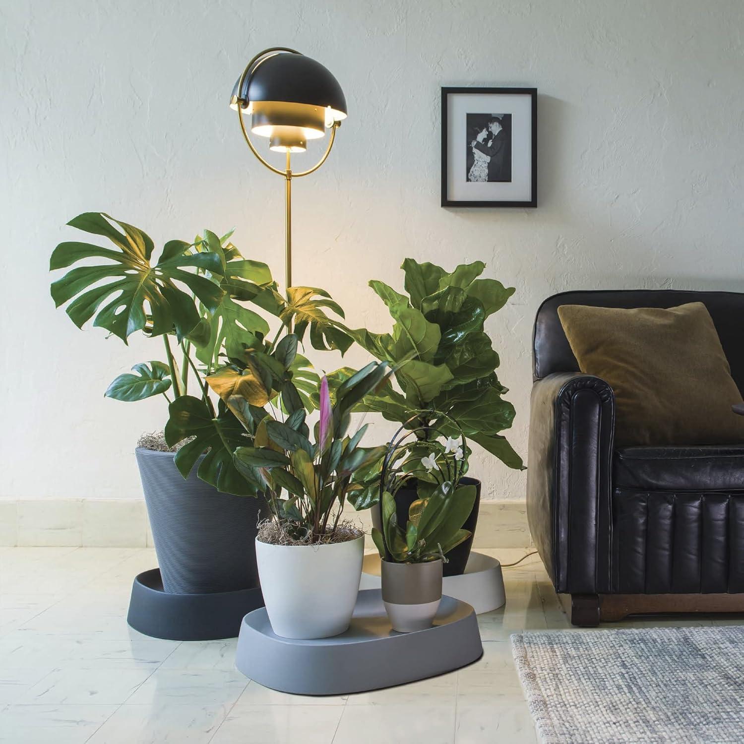 Crescent Garden Pebble Modern Durable Plant Caddy
