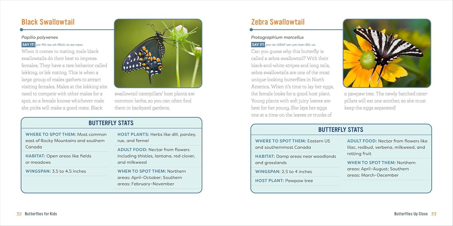 Butterflies for Kids - (Junior Scientists) by  Lauren Davidson (Paperback)