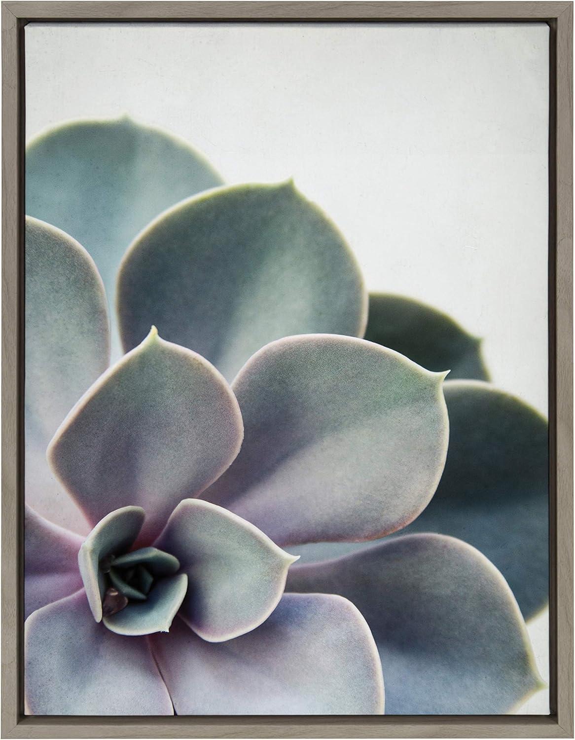 Sylvie Succulent 5 Framed Canvas by F2 Images - Kate & Laurel All Things Decor