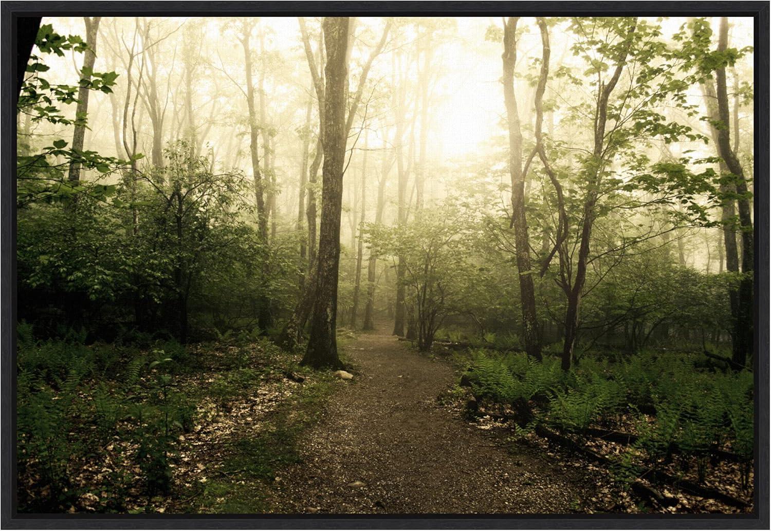 Appalachian Trail Forest Path Black Framed Canvas Wall Art