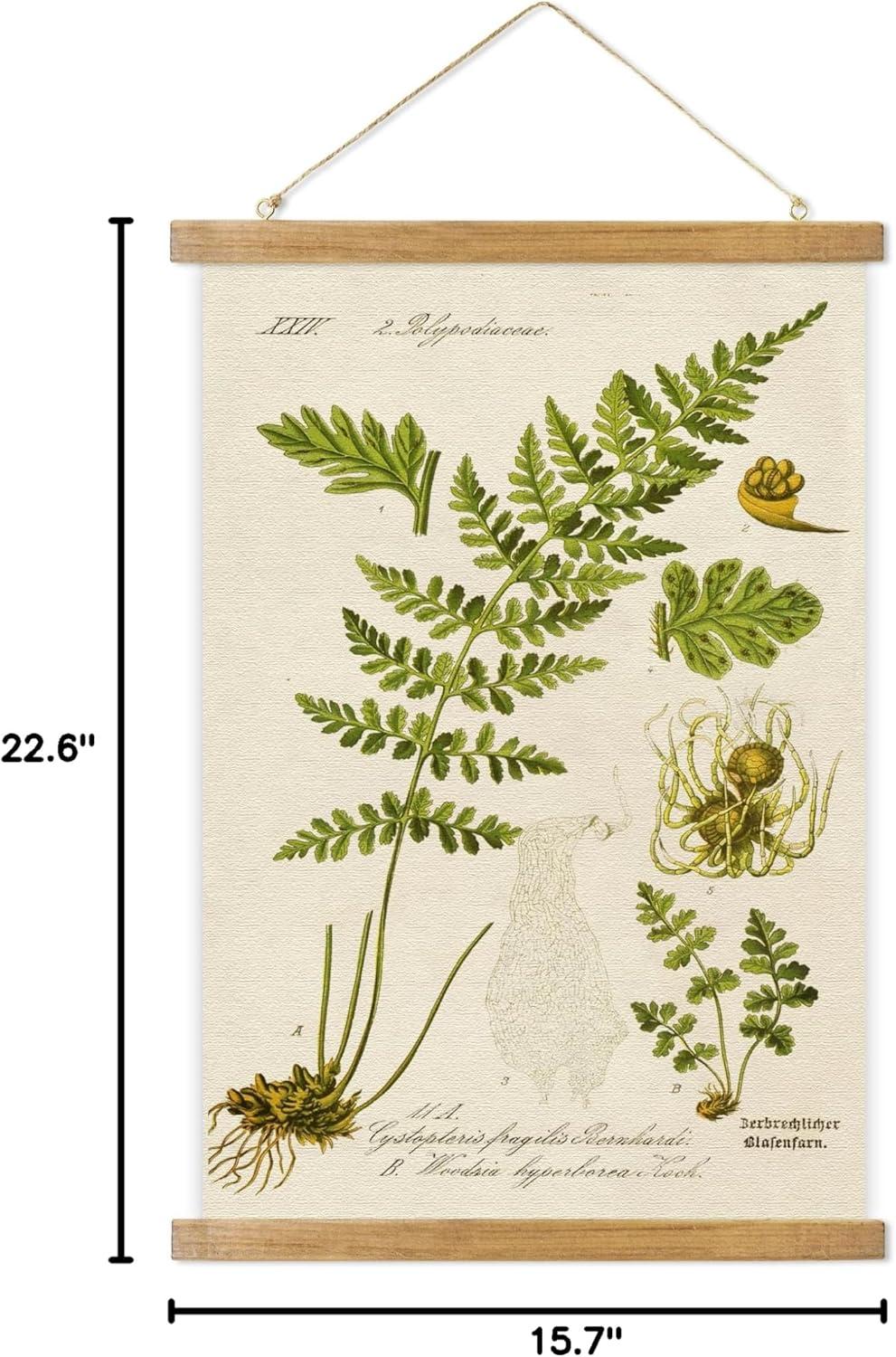 Vintage Illustrative Reference Plant Hanging Poster, Retro Style of Botanical Wall Art Prints, Printed on Linen with Wood Frames, Ready to Hang