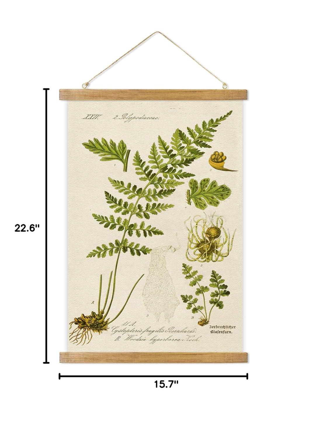 Vintage Illustrative Reference Plant Hanging Poster, Retro Style of Botanical Wall Art Prints, Printed on Linen with Wood Frames, Ready to Hang