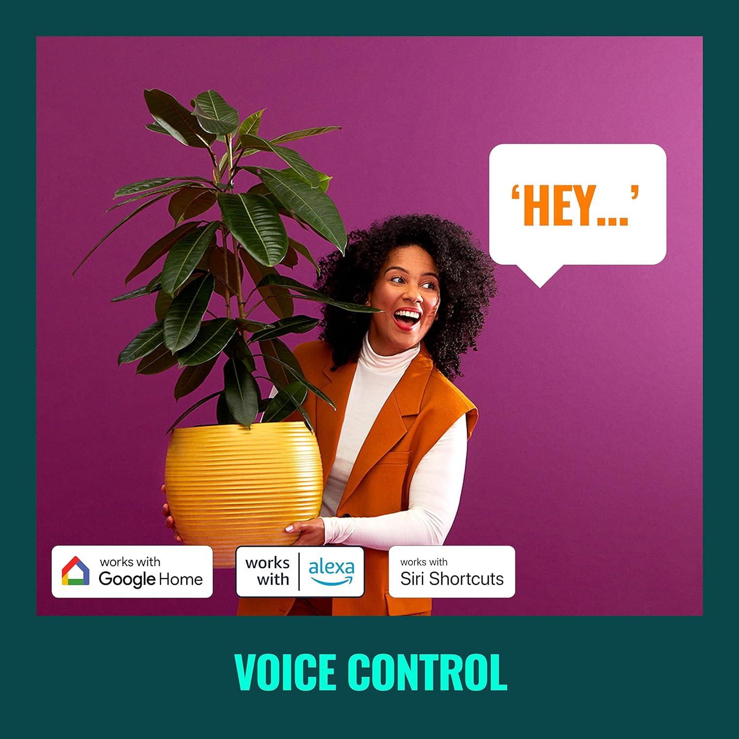 WiZ Connected Color G25 Color Filament LED Smart Bulb - Pack of 1-300 Lumen - E26, Indoor - Connects to Your Existing Wi-Fi - Control with Voice or App + Activate with Motion - Matter Compatible