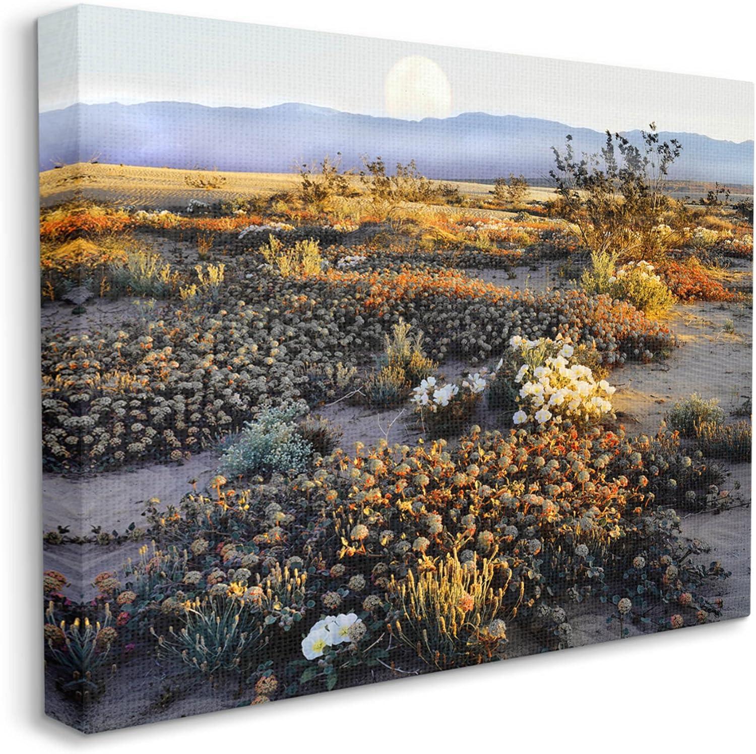 Mountain View Desert Vegetation Landscape Photograph Gallery Wrapped Canvas Print Wall Art