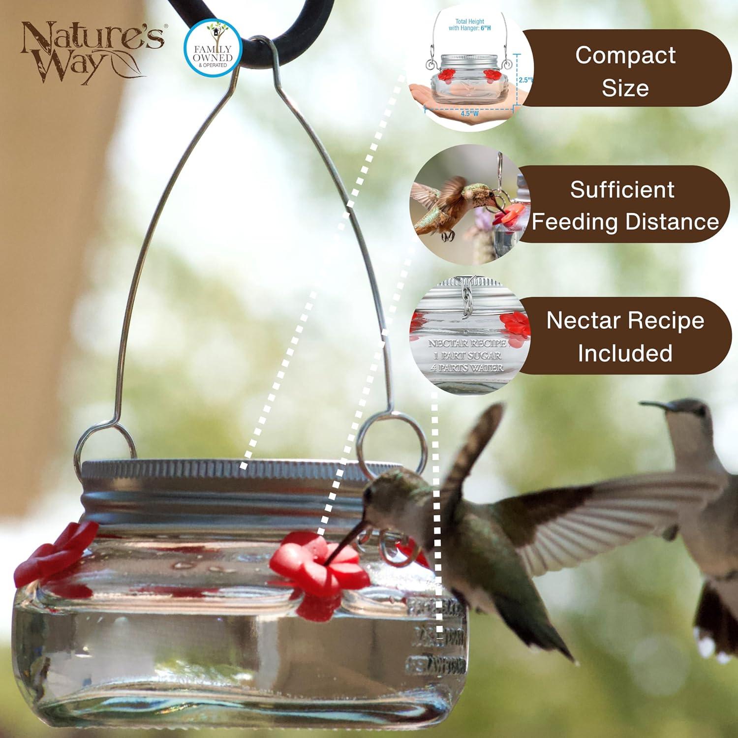 Nature's Way Bird Products Mason Jar Hummingbird Dish Feeder, 6 oz