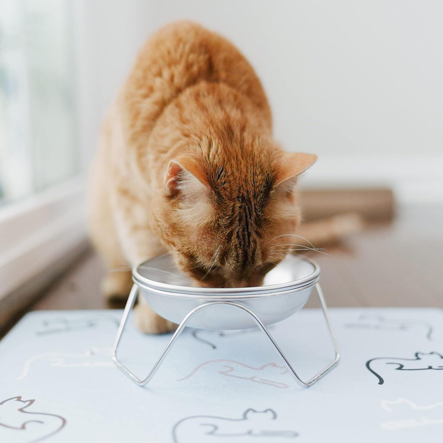 Raised Cat Bowl Stand for Food & Water by Americat – Made in USA – Stainless Steel, Spill-Proof Elevated Feeder, Dishwasher Safe, Human Grade, Whisker Friendly