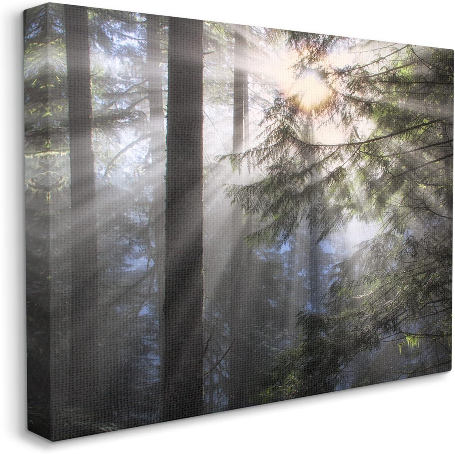 Stupell Industries Au-821-Canvas " Forest Sun Rays Nature Scenery " by Dennis Frates